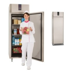 Armoire positive Evologi ES650SHS GN2/1 600 L - 230 V
