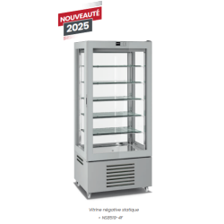 Vitrines négatives statiques ISOTECH NS8523-1F