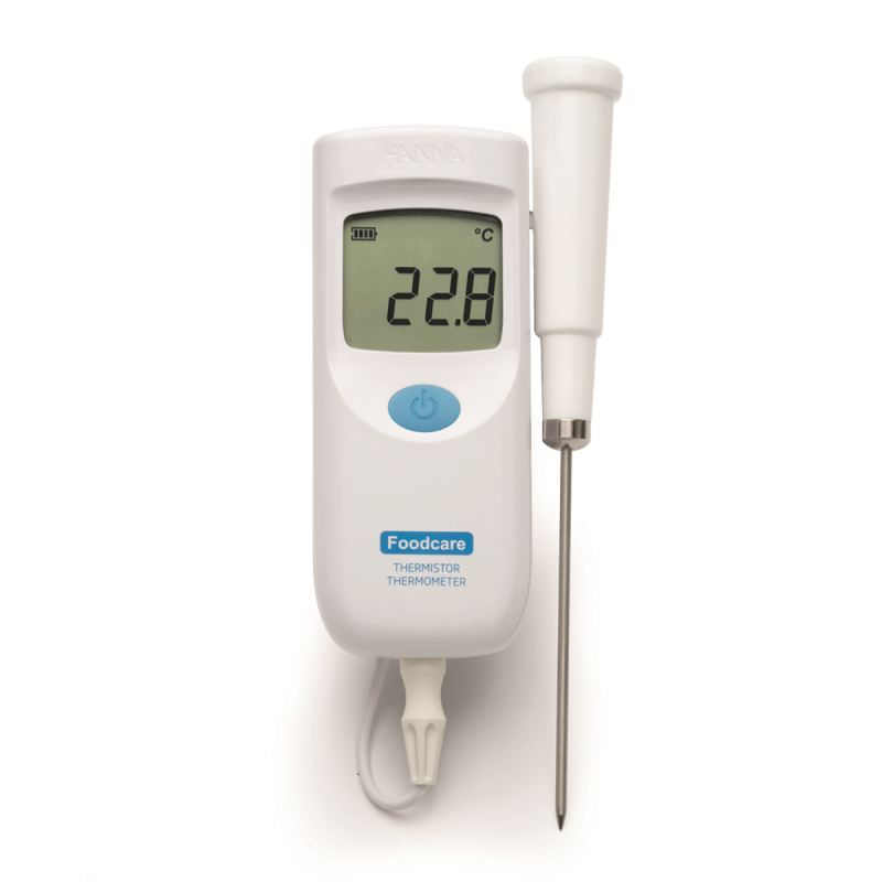 THERMOMETRE A SONDE