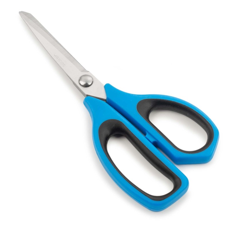 Paire de ciseaux cuisine lame micro dentée 21,5 cm