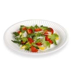 Assiette - Carton ø 23 cm