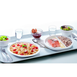 Assiette plate ronde Heat System Opal ø 25 cm