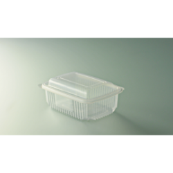 Barquette multi fonctions 750g - 18,5x13,5x5 cm