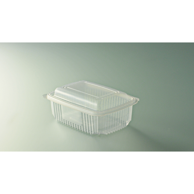 Barquette multi fonctions 750g - 18,5x13,5x5 cm