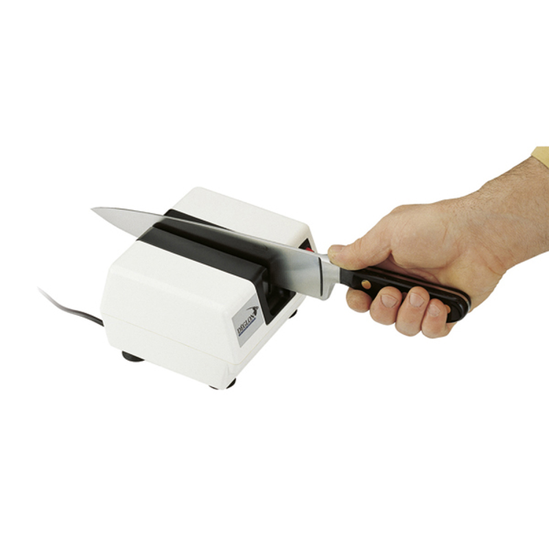 Affûteuse électrique 230 V – Outil pro pour boucher et cuisinier