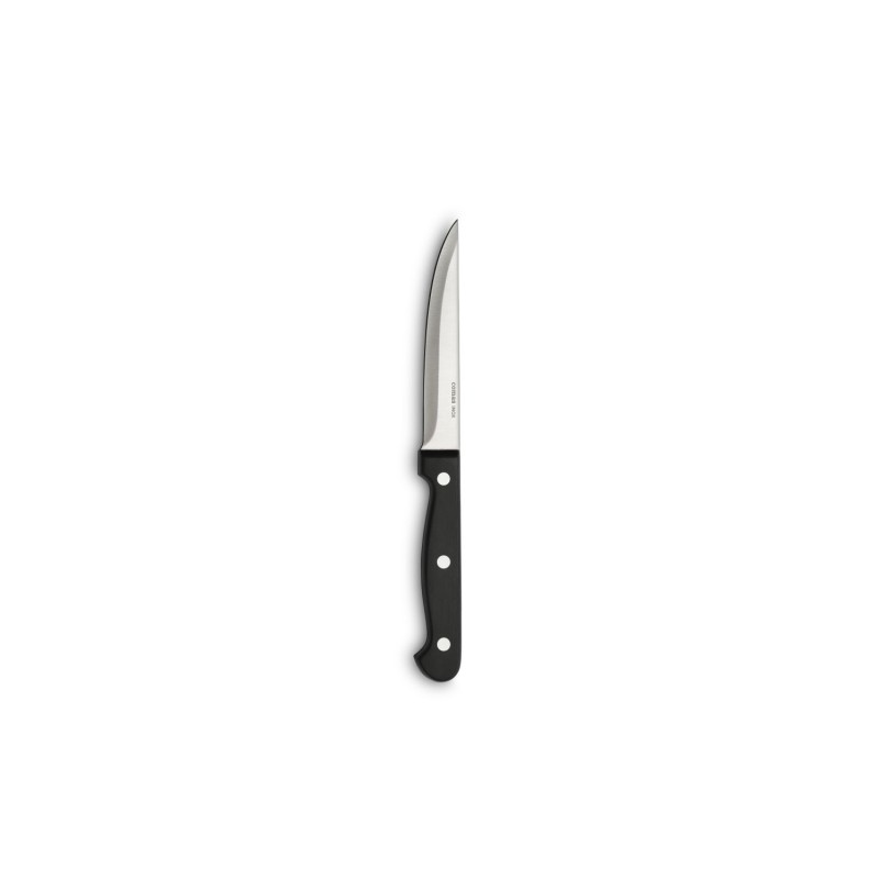 BLISTER 6 COUTEAUX STEAK AVEC LAME LISSE