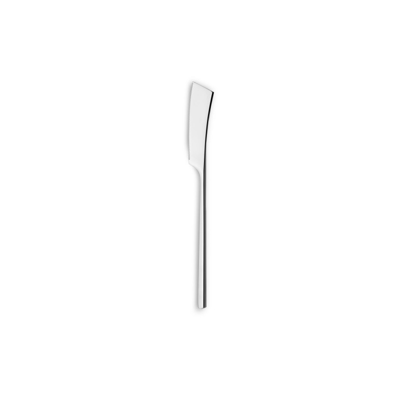 COUTEAU STEAK EVEREST MIRROR