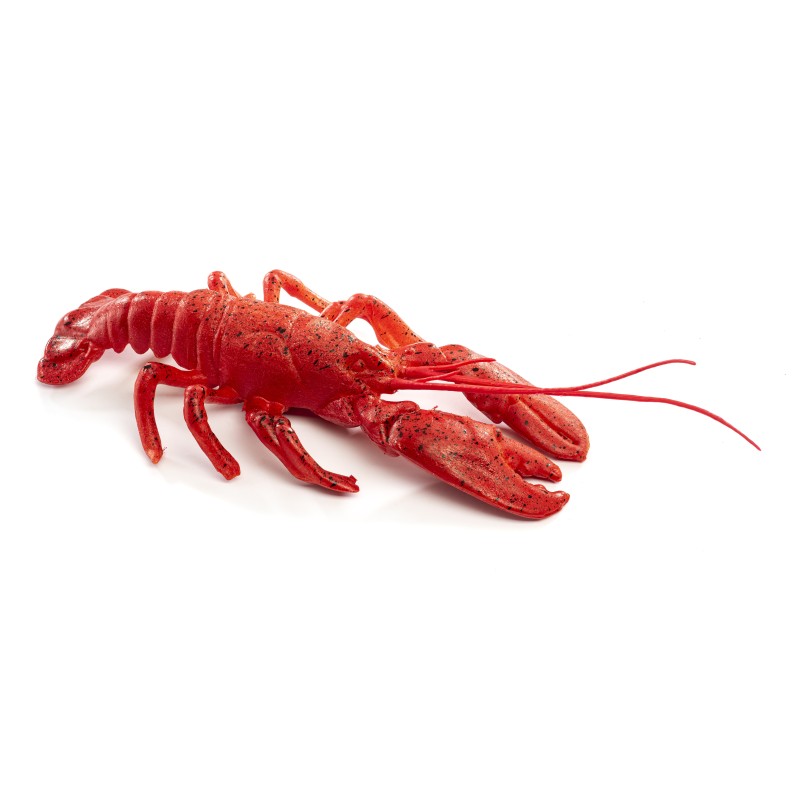 HOMARD