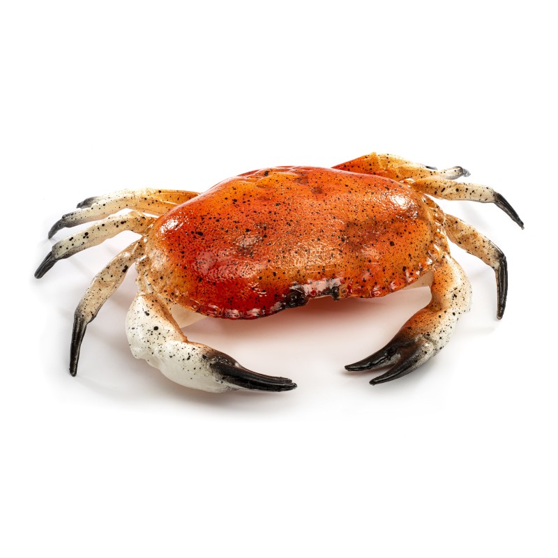 CRABE