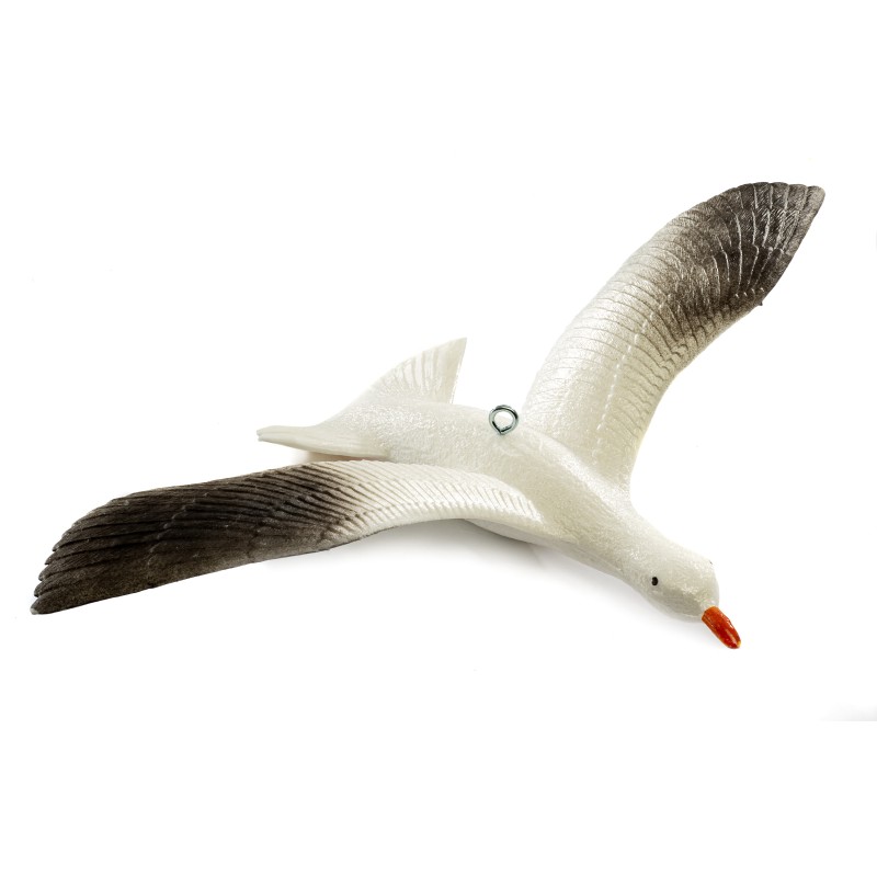 MOUETTE