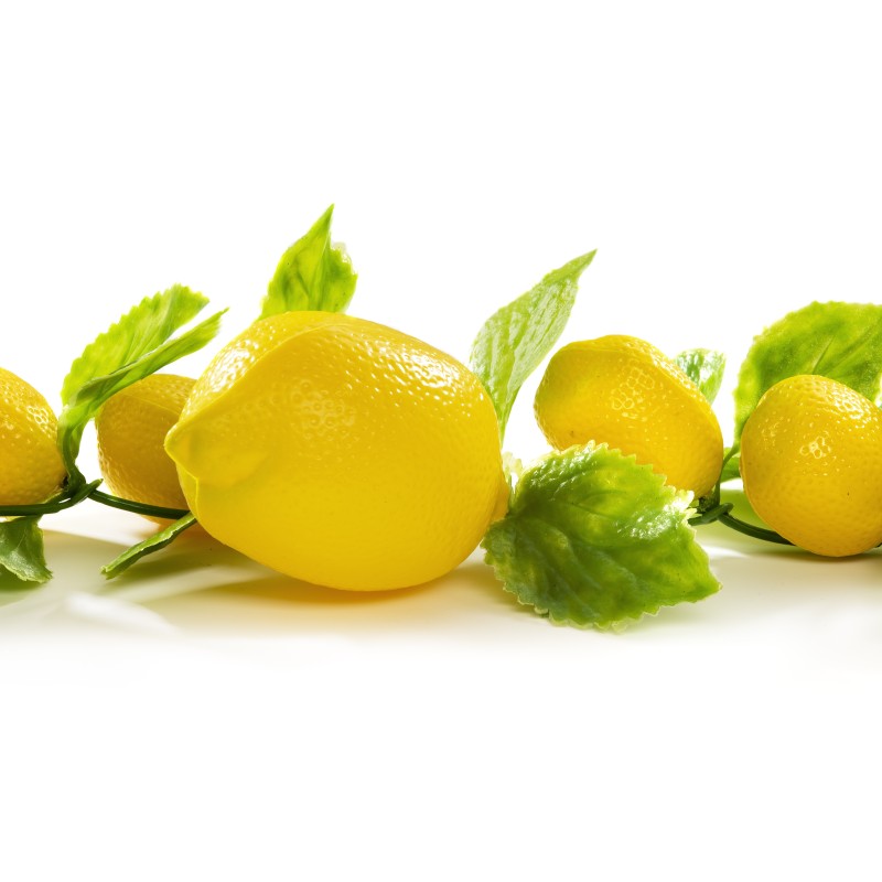 GUIRLANDE DE CITRONS
