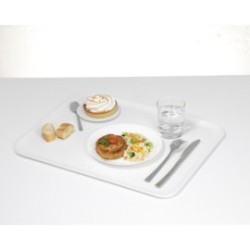 PLATEAU POLY-STR 46X36CM PROFIL / R/V BLANC