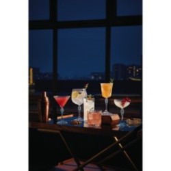 Verre à cocktail - Martini 24,5 cl - America’s 20