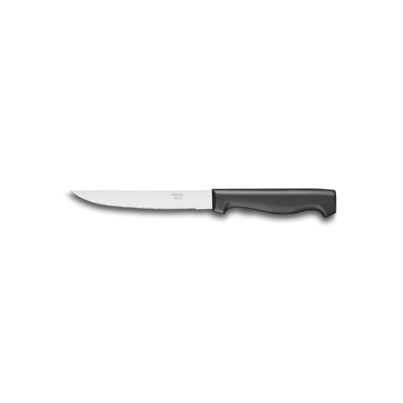 Couteau à steak - Lame microdentée 12 cm - Reflex